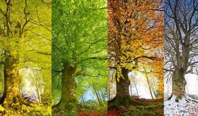 331bb65717ce9bc736954e156b8b9caf