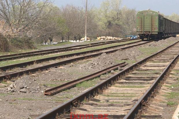 FotoJet - 2023-04-24T094213.498