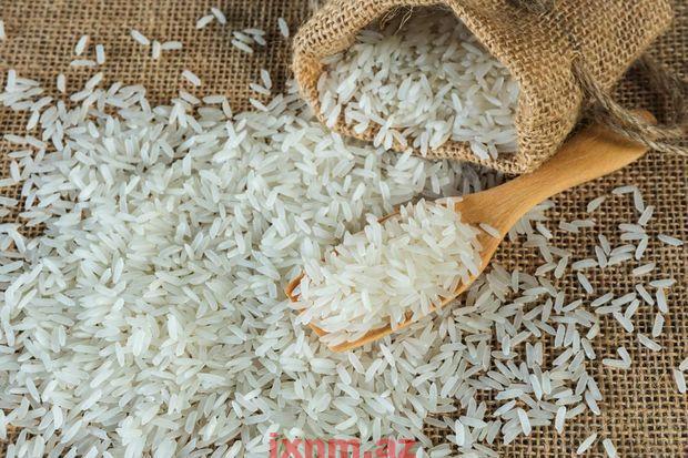 20-veresnia-vsesvitnij-den-rysu