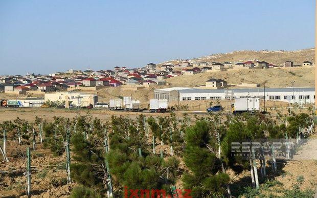 eaf56486-c2c7-3d33-a183-f33828a9be5e_850