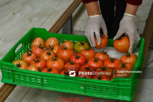 HnAfTTrFrugPTPJ052ogNLDh3P00qQWgU46F4qVQ