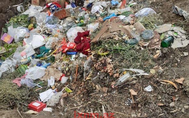 WhatsApp Image 2023-07-19 at 08.30.33 (2)